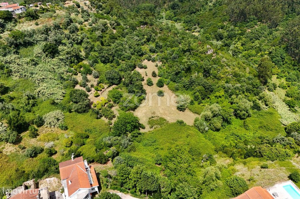 .Terreno Rustico | Bera |Almalaguês