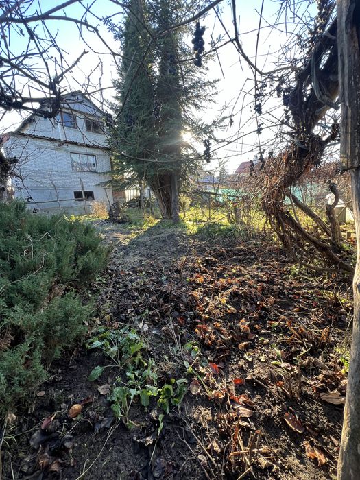 Калинка Велика за Підгайцями