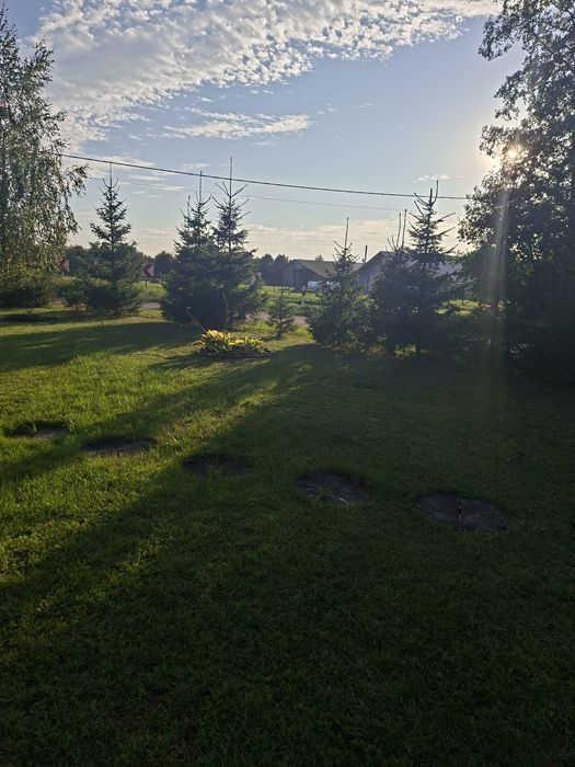 Zdjęcie 8