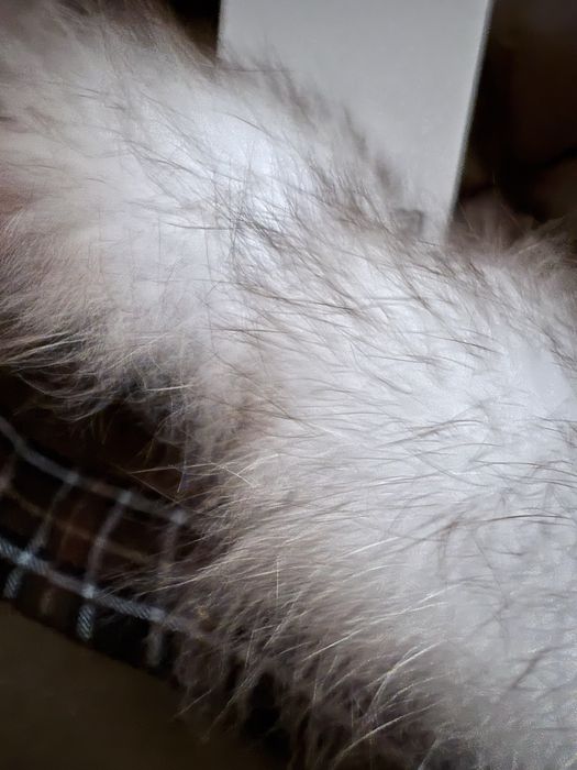 Куртка, парка з натуральним хутром (с натуральныим мехом) MaxMara