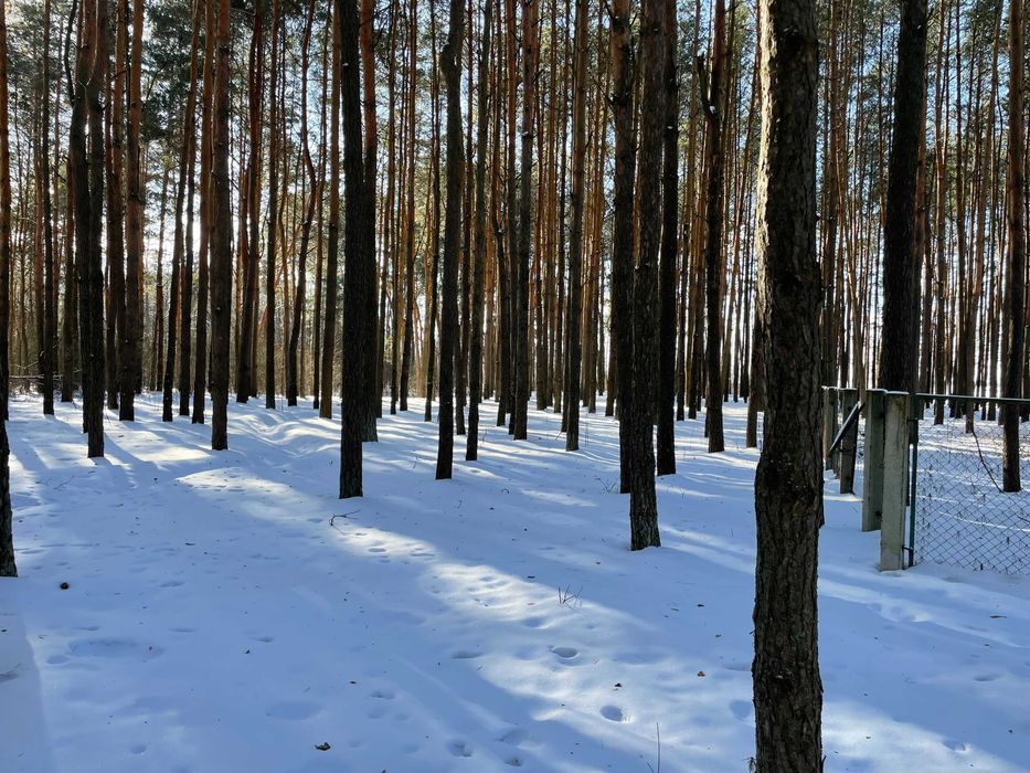 Продаж земельної ділянки 0.3937 га с.Шацьк Урочище Гряда