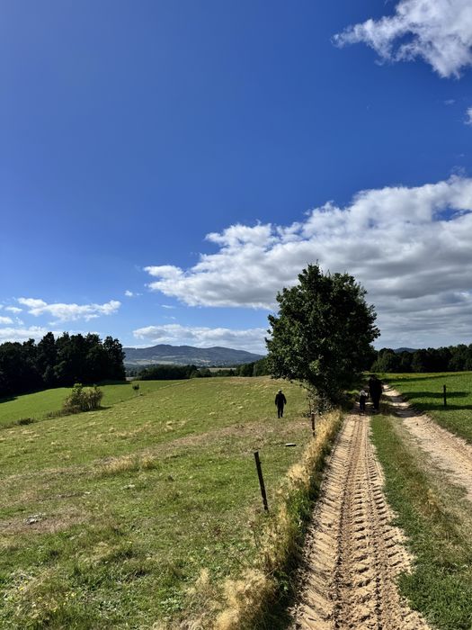 Ziemia grunty rolne rolno-budowlane 8.5ha - Widok 2