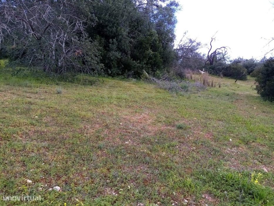 Terreno Rustico com 1394 m2, Loulé, Algarve