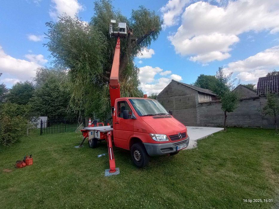 WYCINKA DRZEW - Pielęgnacja  drzew - Usługi podnośnikiem koszowym.
