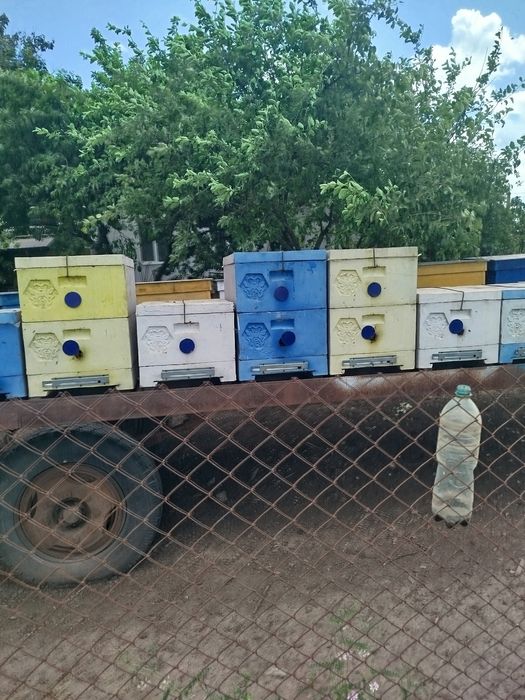 Продам вулики рута ППУ цільнолиті