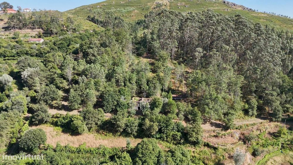 Quinta com 2 Hectares e Casa em Pedra para Recuperar em Gomide, Vila V