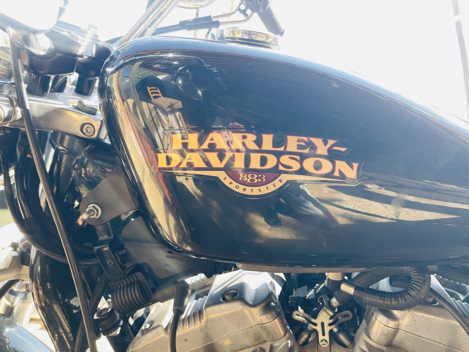 Harley-Davidson Sportster XL 883L Low (2008) — Imaculada | Apenas 14.000 km