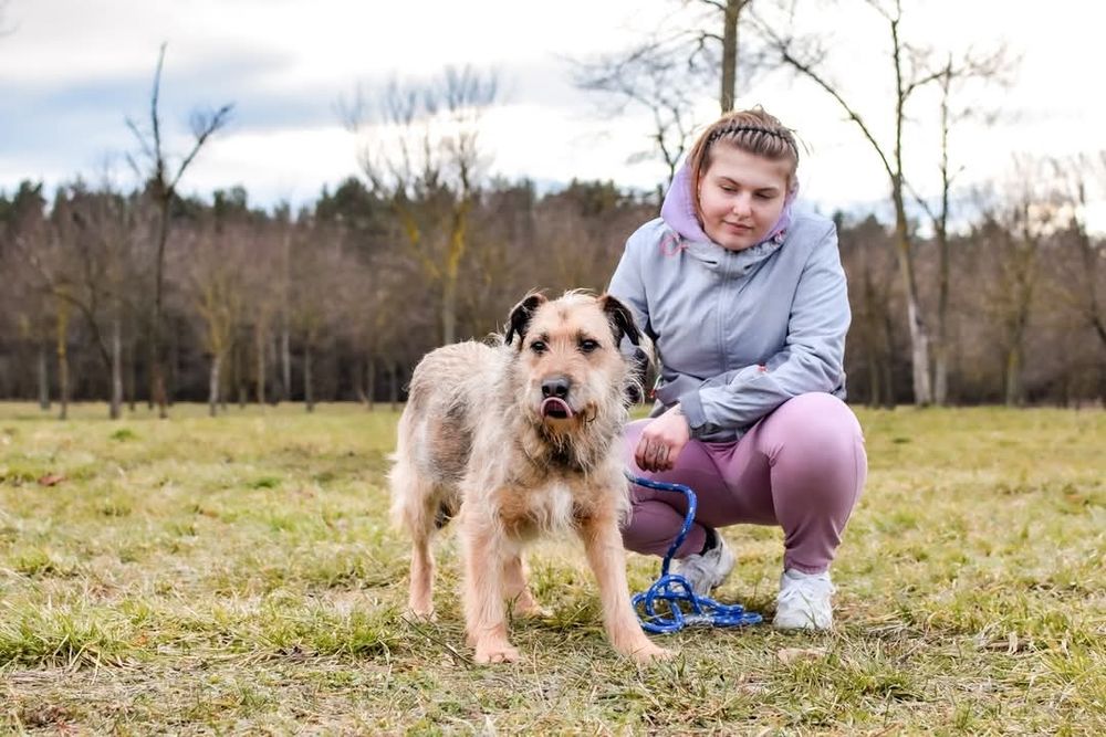 Nieśmiały psiak szuka domu! Adoptuj!