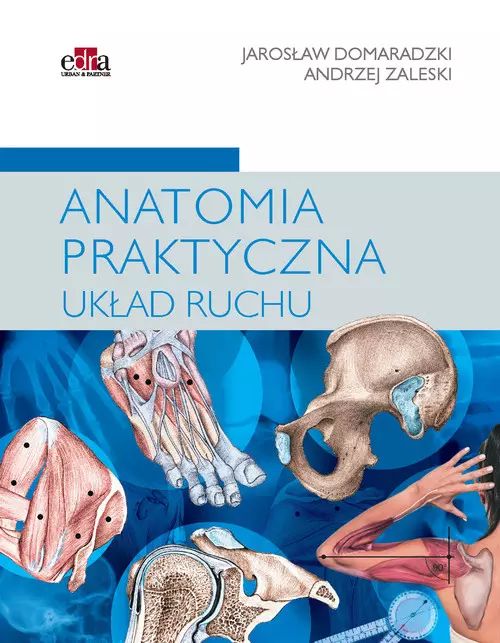 Anatomia praktyczna. Układ ruchu. Urban & Partner. Nowy Produkt