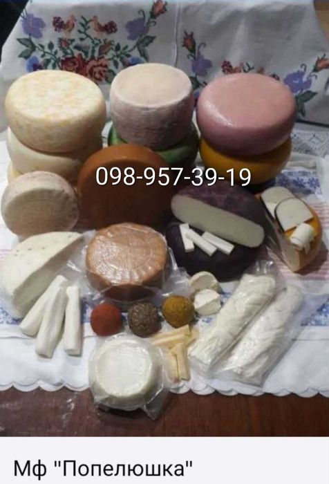 Навчання сироварінню, консультації недорого!
