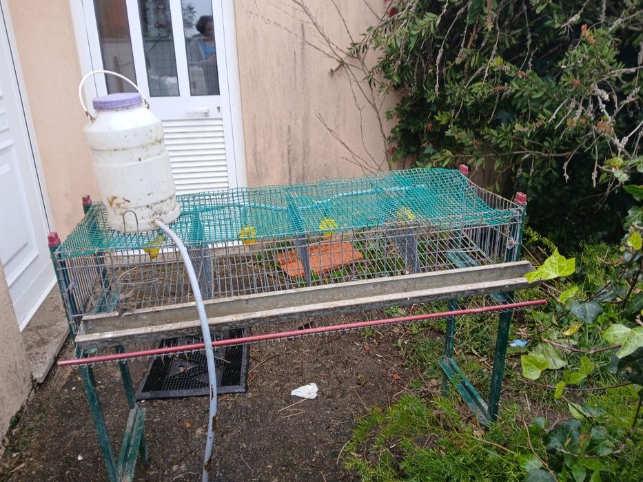 Jaula para 16 cordornizes