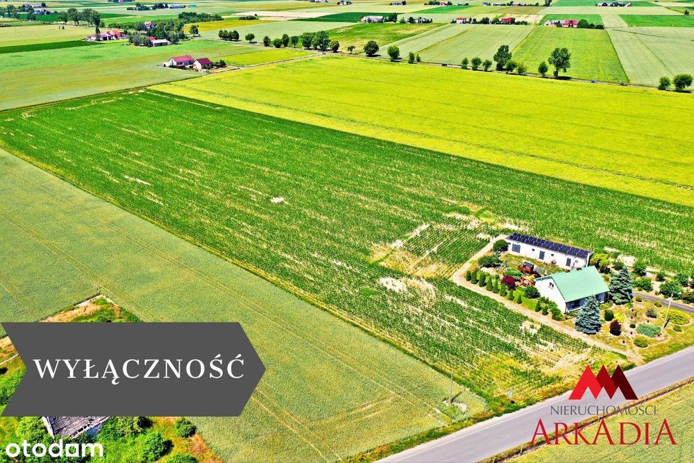 2 działki na sprzedaż z warunkami zabudowy-Brzezie