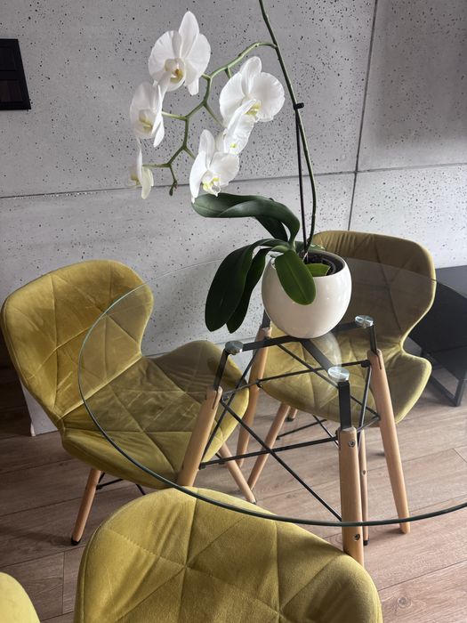 Nowoczesny zestaw jadalniany – szklany stół + 4 welurowe krzesła | styl skandynawski / loft / industrial