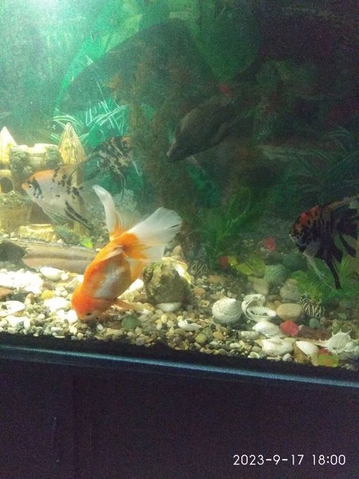 300Литров с тумбой