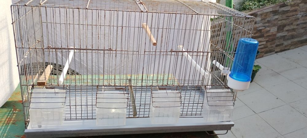 Gaiola para criação de canários