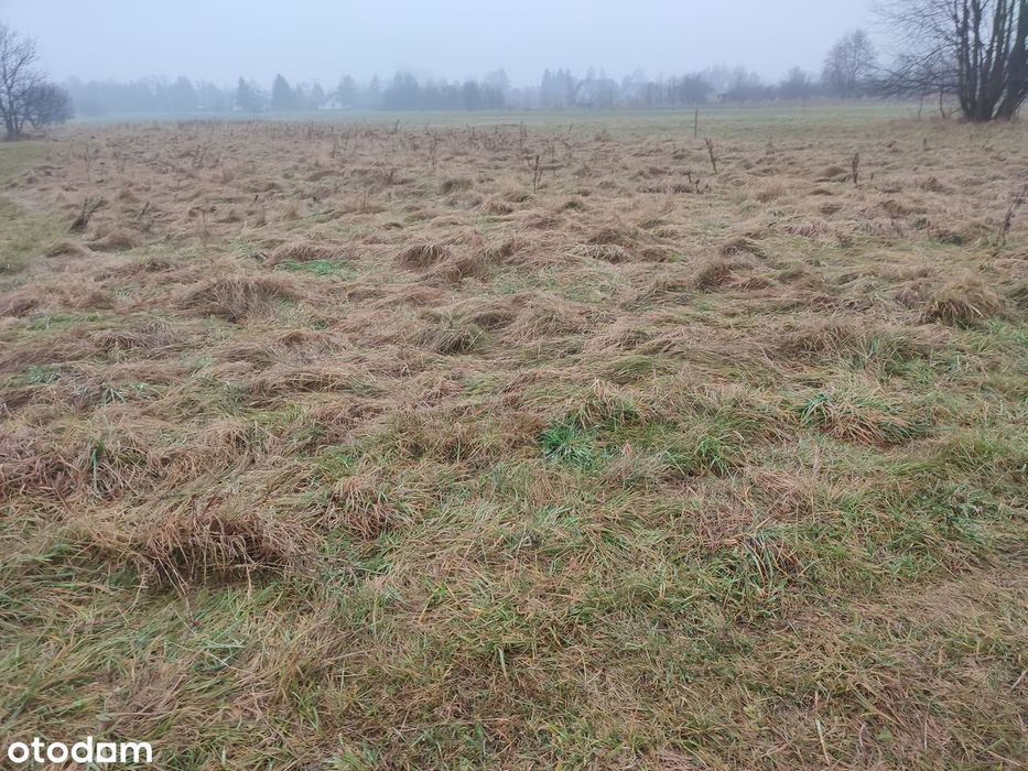 Okazja inwestycyjna - Działka przeznaczona pod zabudowę mieszkaniową - Widok 2
