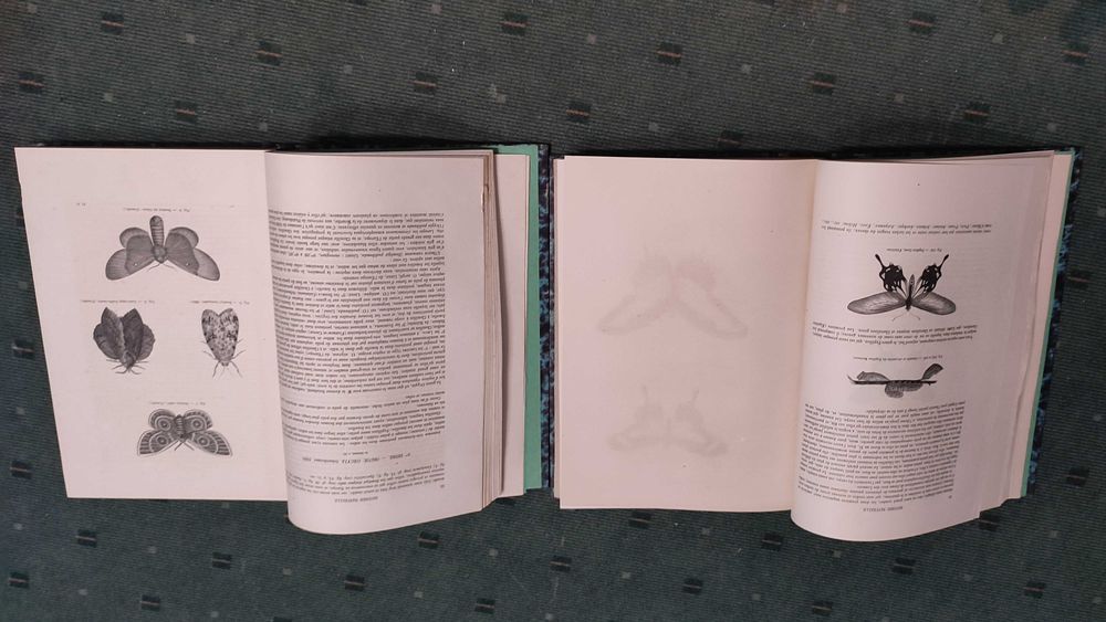 Encyclopédie D'Histoire Naturelle Traité Complet -Papillons - 2 Vol