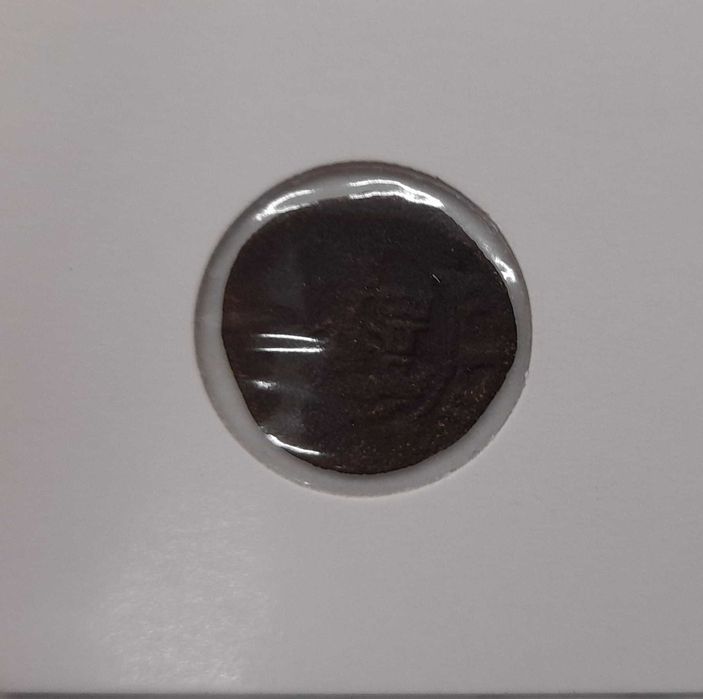 D. Afonso V - Ceitil64409172315779120