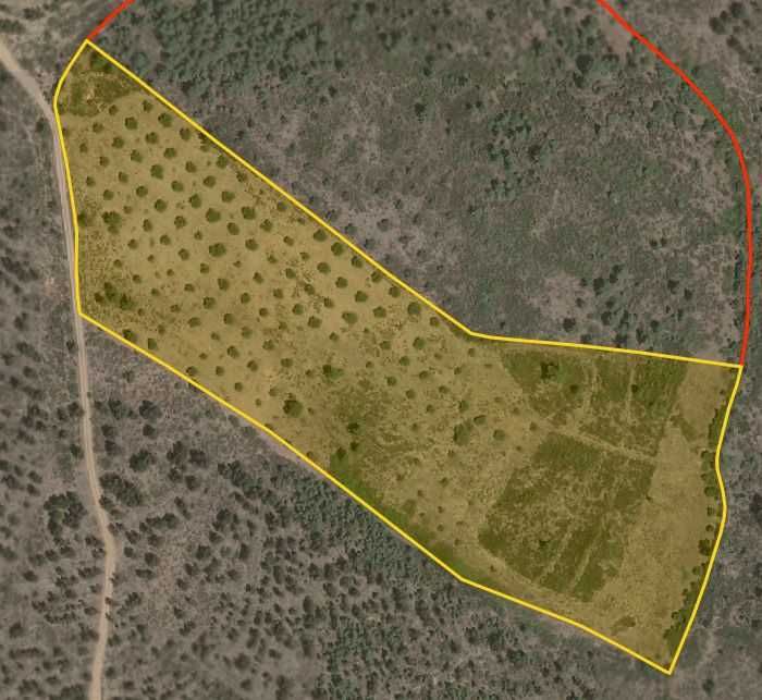 Terreno de 30.320 m² com Potencial Construção de Moradia + Olival