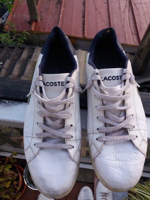 Tennis lacoste n°42