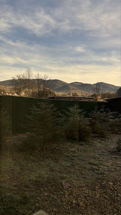 Затишний Котедж в Карпатах 24/7 світло, вода та інтернет