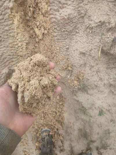 Biomasa drzewna i Agro