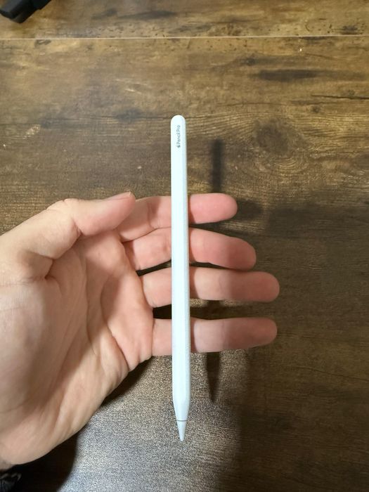 iPad Pro 11 m4 256gb com Pencil pro- 25 ciclos como novo (com caixa)