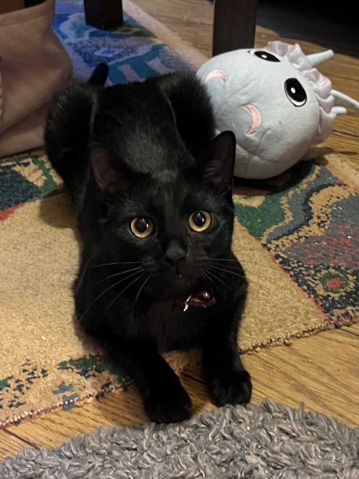 Seneka i Sokrates czekają na Ciebie