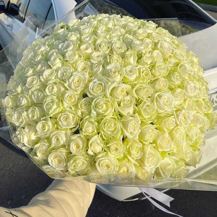 Свежая роза, доставка цветов Днепр, букет 151 роза, цветы