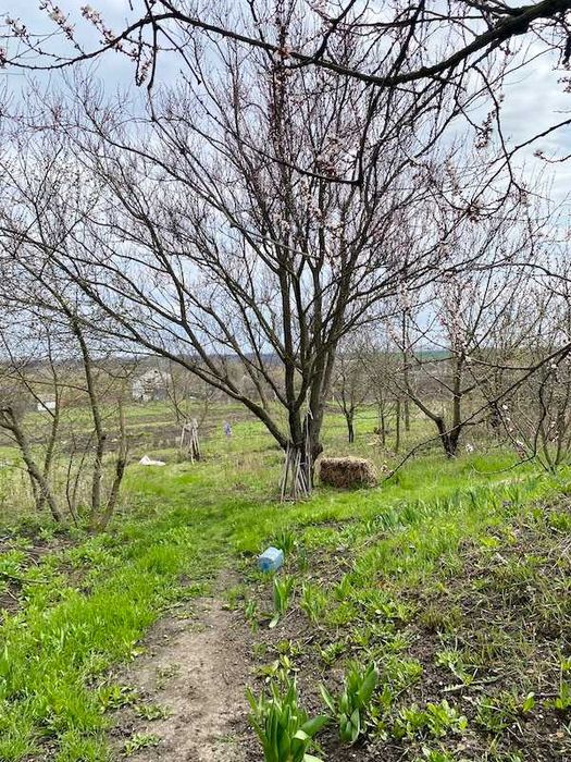 Продам будинок с. Куп’єваха Богодухівський район (169217)
