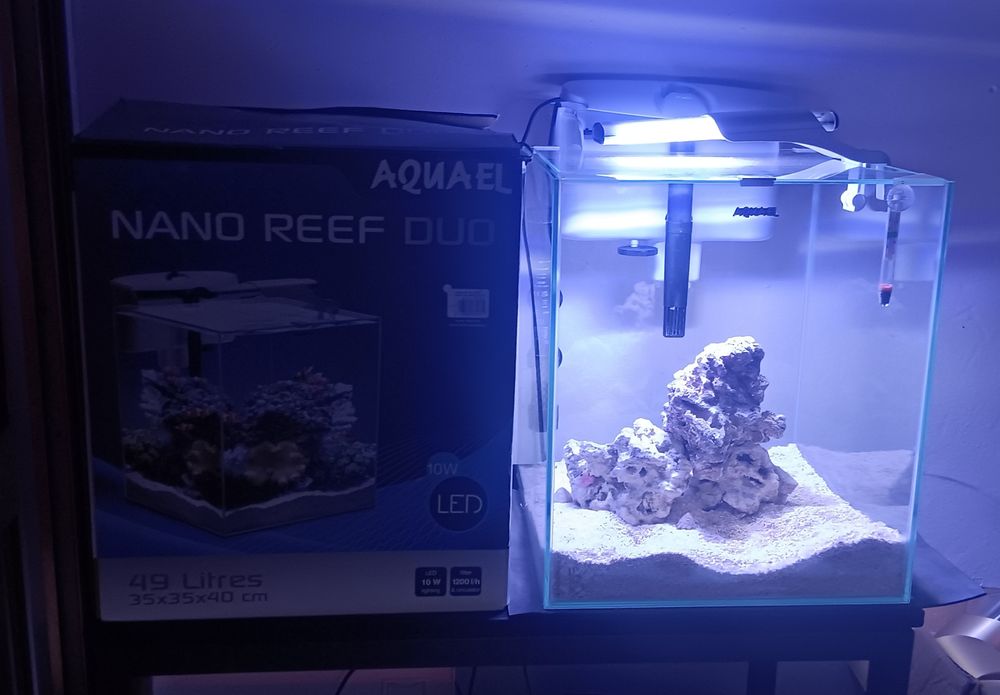 Aquario nano reef aquael 49litros Último preço