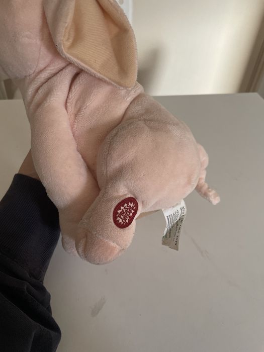 A singing toy pig