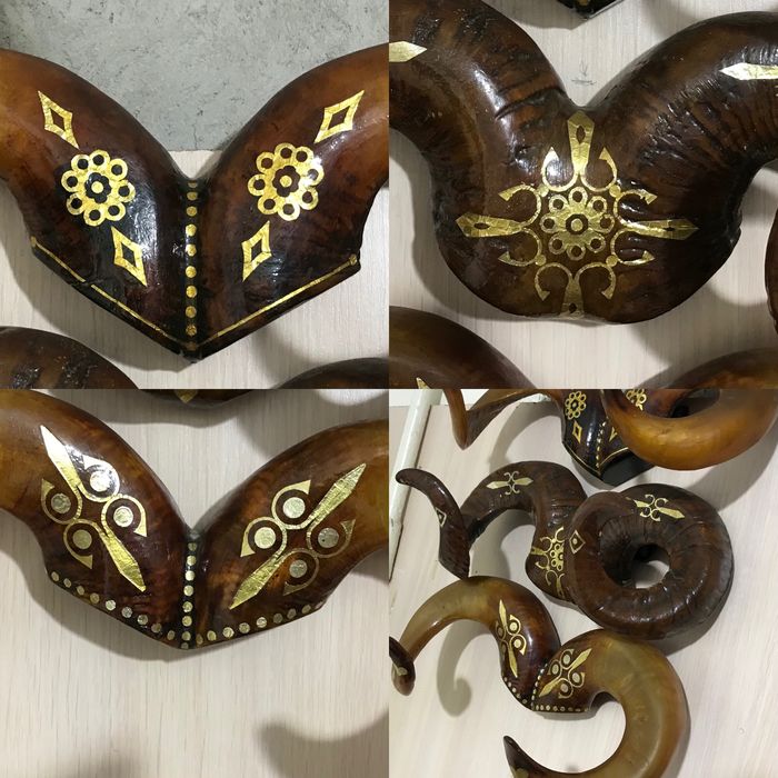 Продам рога різні на вибір