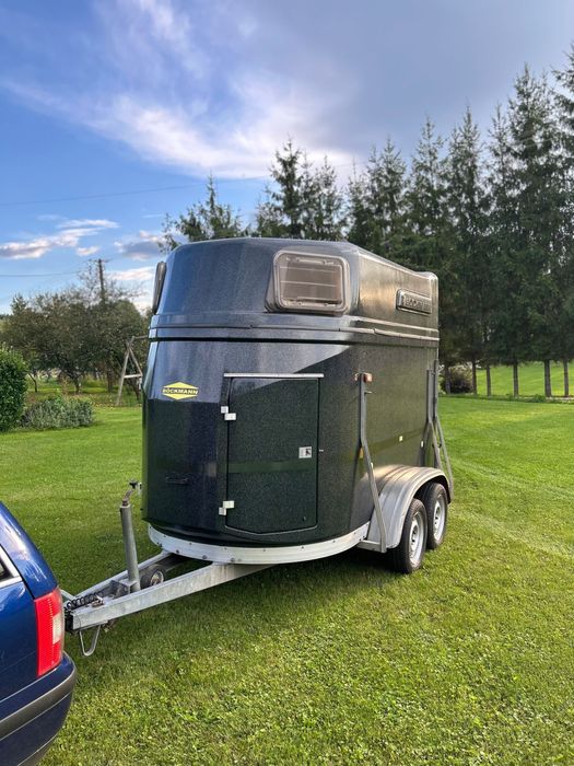 Przyczepa konna bockmann master