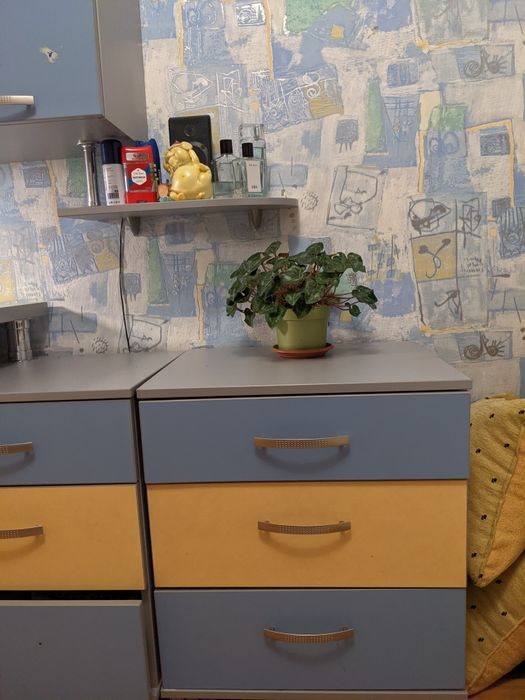 Детская мебель -стенка (стол, шкаф, тумбочка)