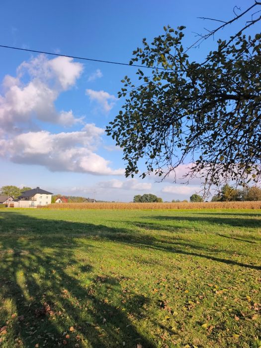 Działka budowlana 1300 m² | Kobielice