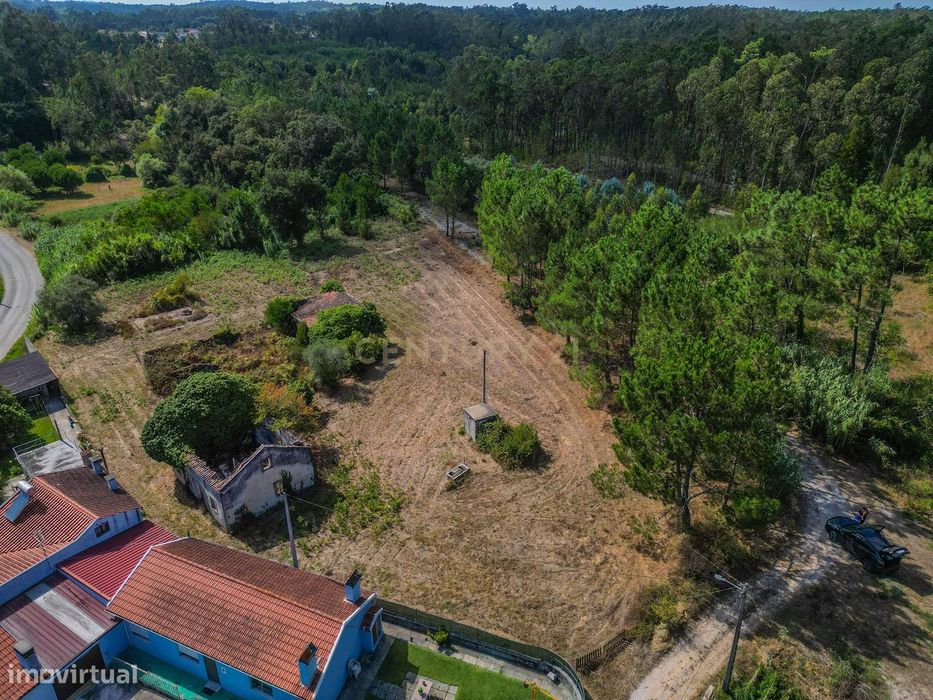 Propriedade com duas casas para reabilitar, terreno e poço na Costeira