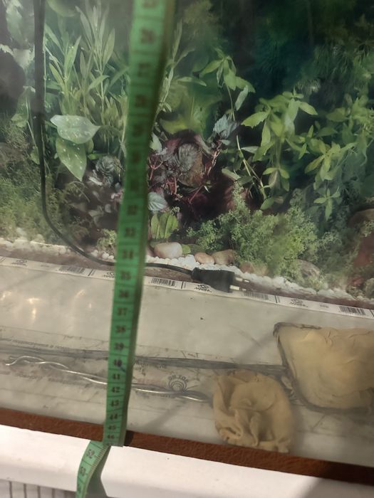 Аквариум / террариум ~90 л, фильтр, сачек 2 штуки, декоративный фон