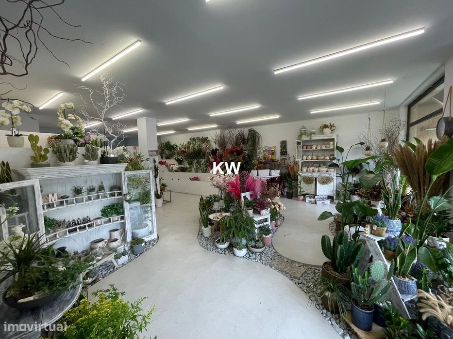Oportunidade - Venda De Espaço Comercial Com Cave E Garagem (Av Antune