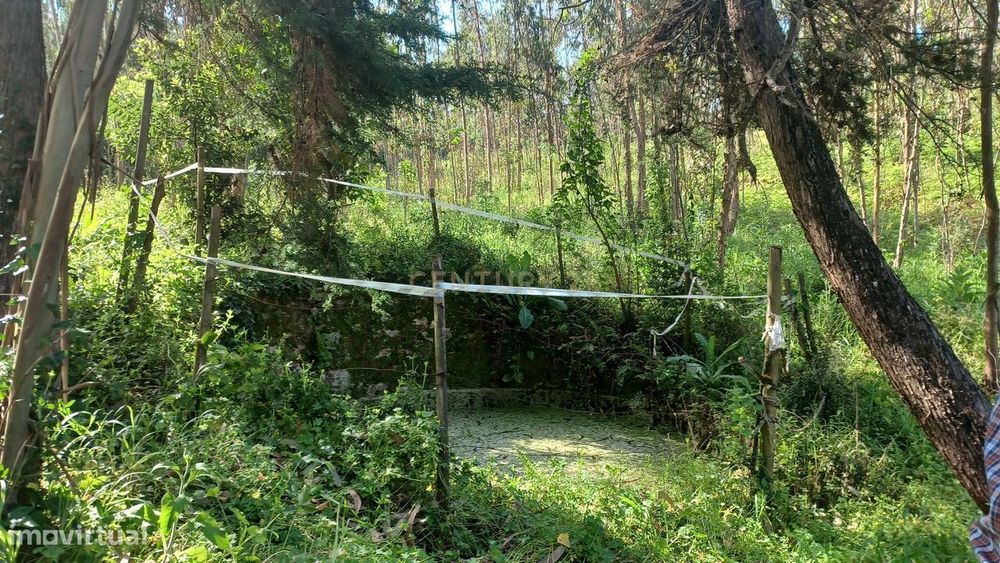 Terreno - Vila Nova da Barca - Venda