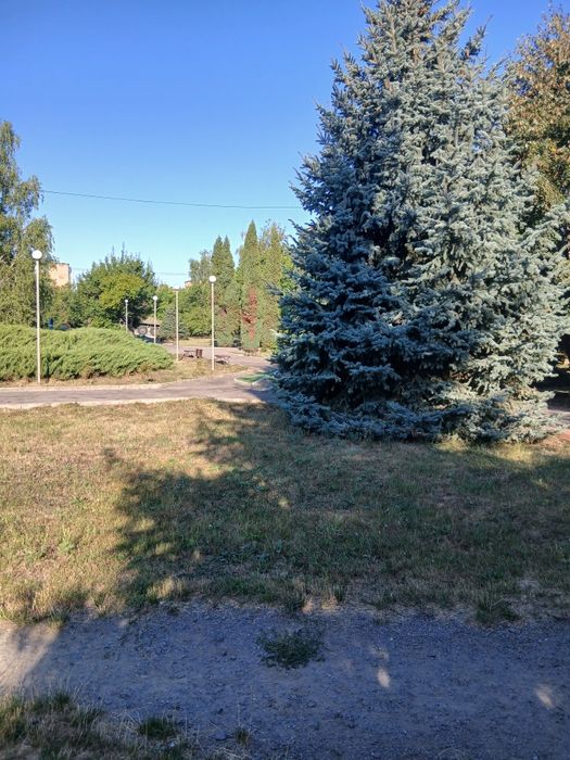 Продається 2х кімнатна квартира.Центр міста.