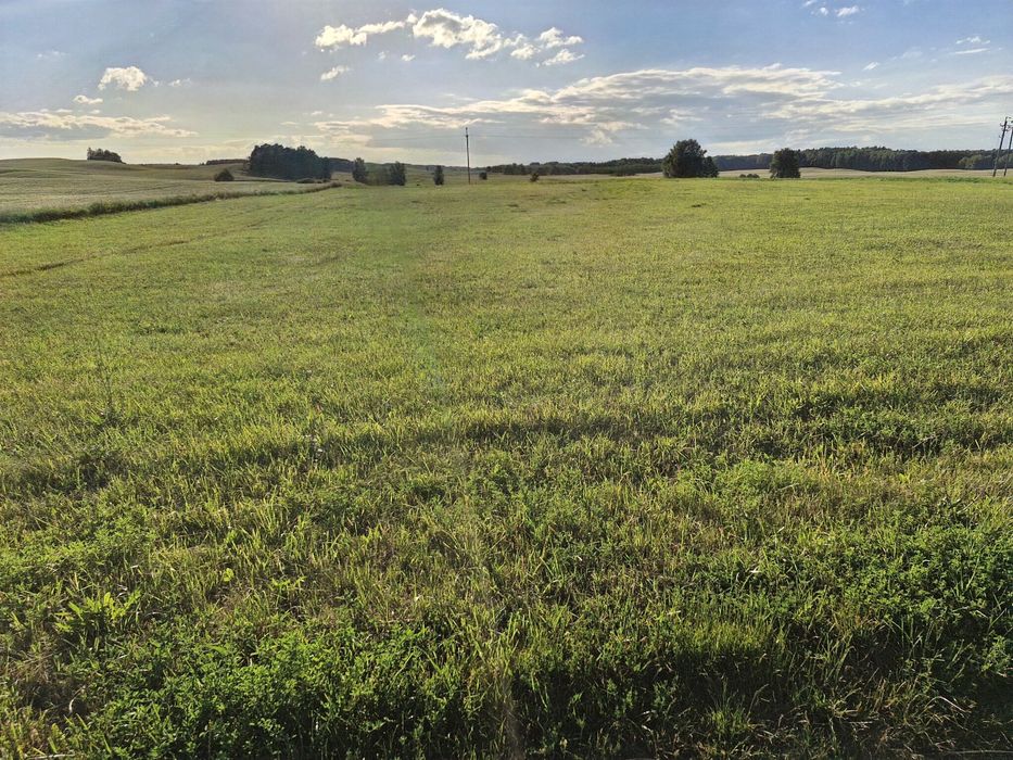Działka na sprzedaż w Bogaczewie - Widok 3