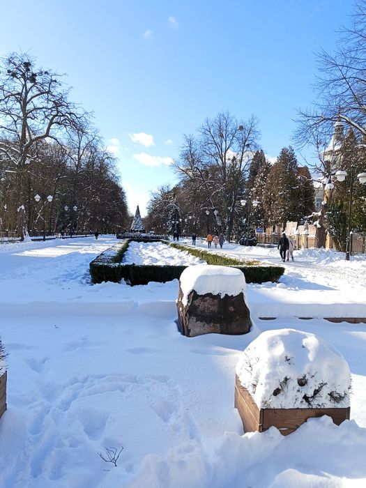 Здається квартира біля міського парку  Шевченка