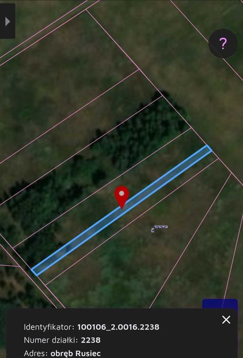 na sprzedaż działka/las gm.Rusiec