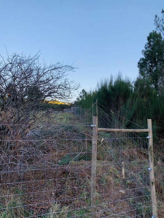 Vedações, Cercas, Armadas