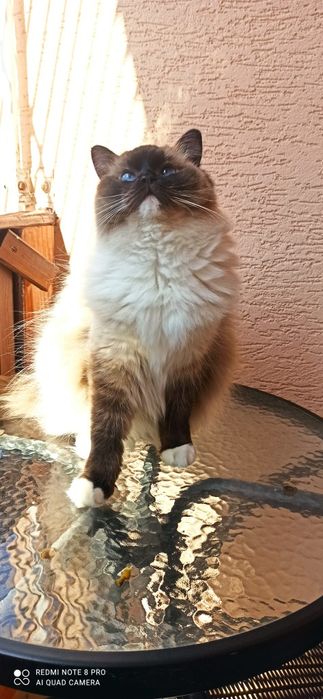 Śliczna dziewczynka