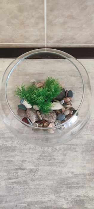 Акваріум на 5 літрів (обігрівач в подарунок)