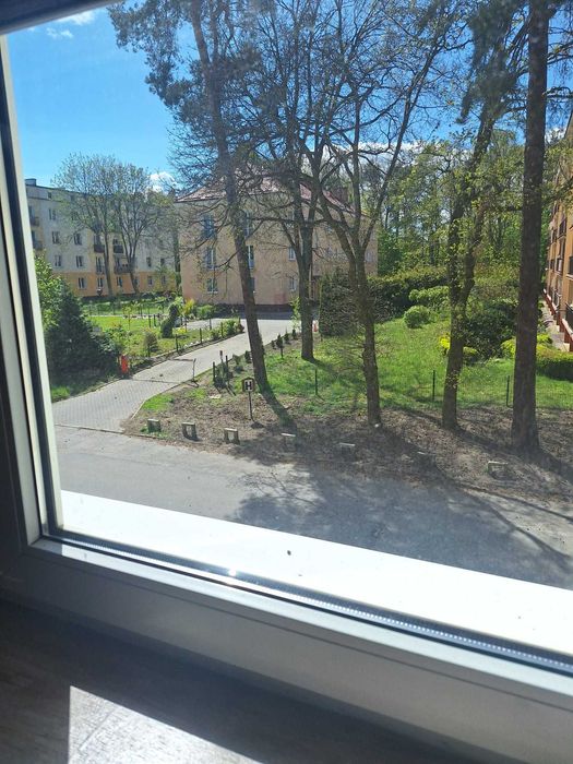 Syndyk sprzeda lokal mieszkalny w Gdyni, Babie Doły – 15% ceny