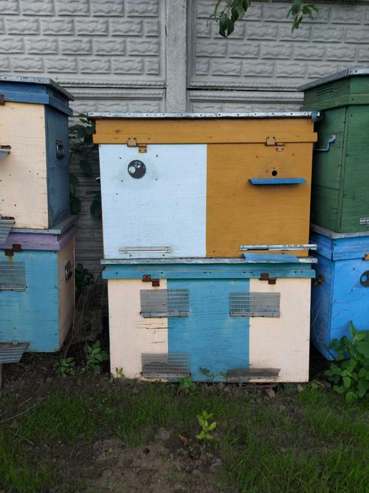 Продам вулики для бджіл. Торг