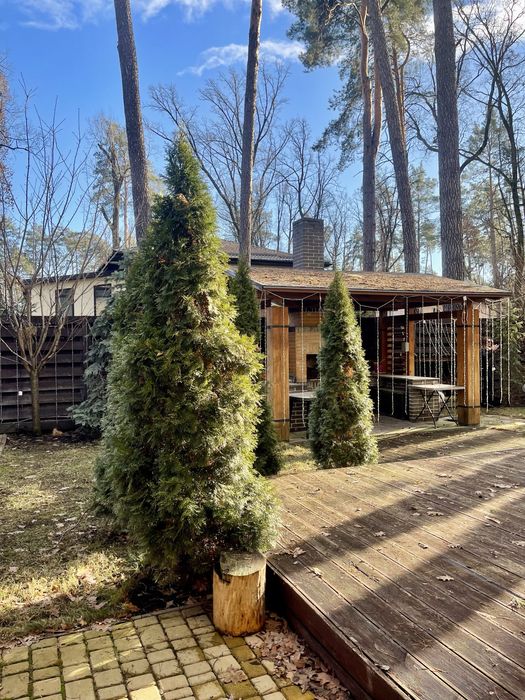 Будинок з ремонтом у лісовій Бучі!